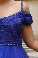 Royal Blue GownIMG_0704 copy